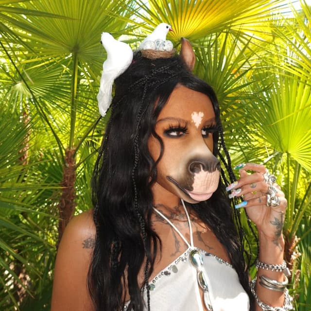 HorsegiirL