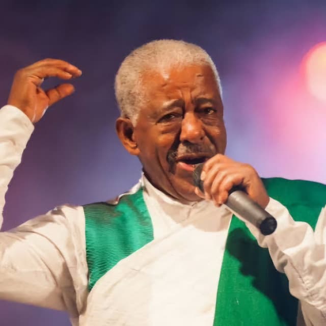 Mahmoud Ahmed