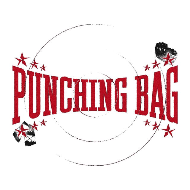 PUNCHING BAG