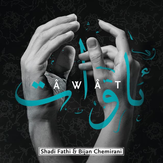 Shadi Fathi