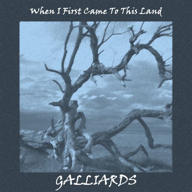 Selah Sue and The Gallands