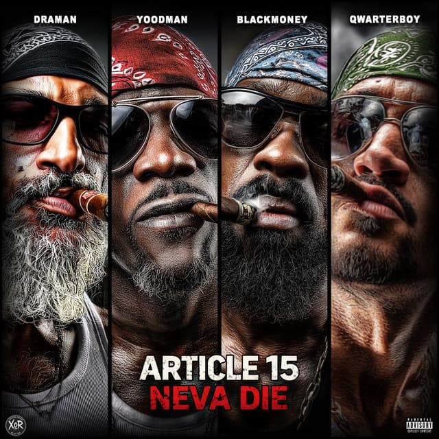 Article 15